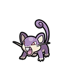 Rattata